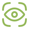 vision